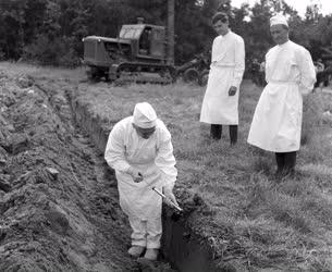 Tudomány - Izotópos talaj és szántóeke kísérletek Gödöllőn