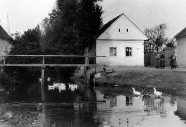 Kultúra - Liszt Ferenc zeneszerző