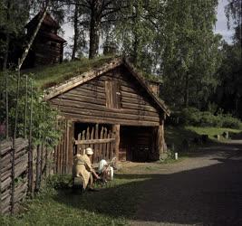 Várokép - Norvégai - Oslo - Skanzen