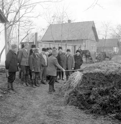 Mezőgazdaság - Udvarszemle Kovács Sándor egyéni gazdánál