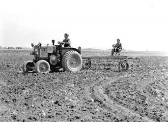 Mezőgazdaság - Életkép - Traktoros lányok