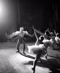 Balett - Csajkovszkij: Hattyúk tava - Fiatal balettművészek 