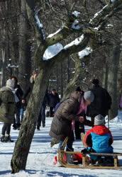 Szabadidő - Budapest - Kirándulók a téli erdőben