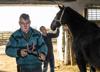 Állattenyésztés - Hortobágy - Lópatkolás a mátai ménesben