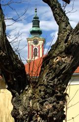 Egyházi épület - Szentendre - A Blagovestenszka templom tornya