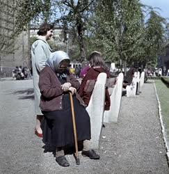 Életkép - Kálvin téri park