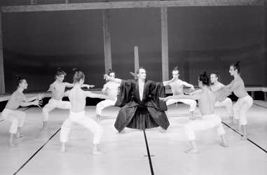 Kultúra - Pécsi Balett - A szamuráj 