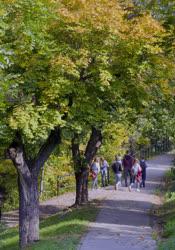 Belföldi turizmus - Budapest - Diákcsoport a Gellért-hegyen