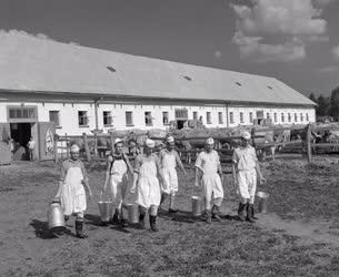 Mezőgazdaság - Füzesgyarmati Vörös Csillag Termelőszövetkezet