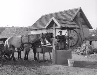 Életkép - Mindennapi élet Felsőrácegresen