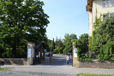 Arborétum - Budapest - A Budai Arborétum főbejárata