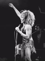 Tina Turner Budapesten