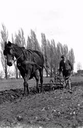 Mezőgazdaság - Mezőgazdasági munka - Szántás - Tavasz