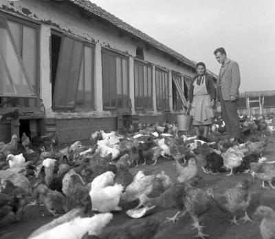 Mezőgazdaság - Oktatás - Vinnai László agronómus