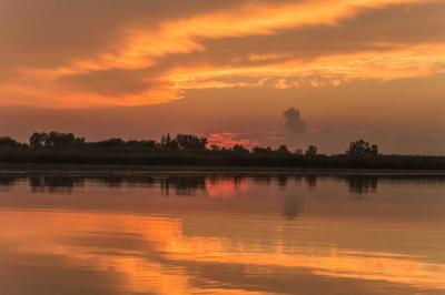 Természet - Tisza-tó