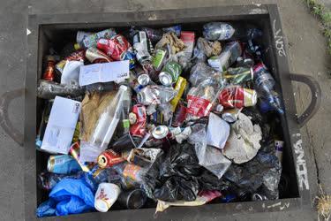 Környezetvédelem - Budapest - Szemetes konténer
