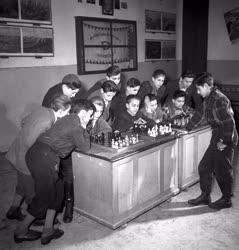 Ifjúság - Sakkozó úttörők