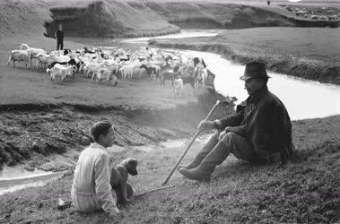 Gazdaság - Pásztorok pihenés közben Gyöngyöshalászon