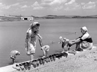 Életkép - Hűsölés a rakacai víztározónál