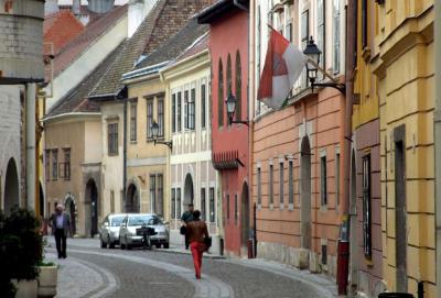 Reklám - Természet - Technika - Virágdekoráció