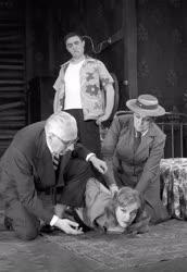 Kultúra - Színház - Tennessee Williams: Vágy villamosa