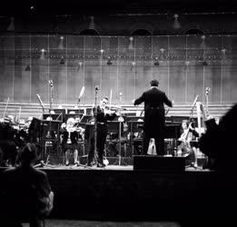 Kultúra - Zene - Nyári koncert a Károlyi-kertben