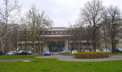 Városkép - Budapest - Semmelweis Egyetem