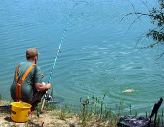 Sporthorgászat - Várpalota - Horgász a Fenyves-tó partján