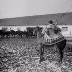 Mezőgazdaság - Képek a poroszlói állami gazdaság életéből