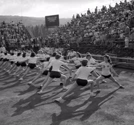 Sport - Ünnep - A Vasas SC sportünnepélye