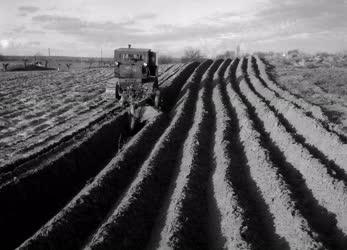 Mezőgazdaság - Szántás 1957-ben
