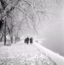 Természet-környezet - A szentendrei Duna-part télen