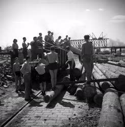 Újjáépítés - A BRFK munkatársai segédkeznek a híd újjáépítésében