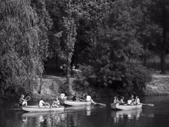 Szabadidő - Napközis tábor az Asztalos János Ifjúsági Parkban