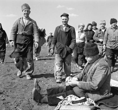 Mezőgazdaság - Vöröshagyma ültetés a Kossuth Tsz-ben