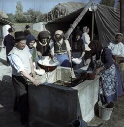 Esküvő - Lakodalom Homokmégyen 