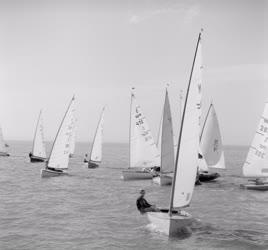 Sport - Vitorlázás - Finn dingi Európa-bajnokság a Balatonon