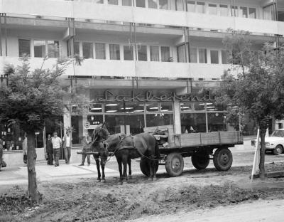 Városkép-életkép - Kereskedelem - A karcagi Berek Áruház