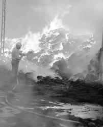 Katasztrófa - Tűz a dunaújvárosi papírgyárban