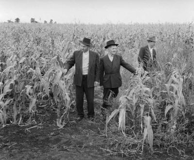 Mezőgazdaság - Kemizálási bemutató az agárdi Győzelem Állami Gazdaságban