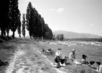 Tokaj