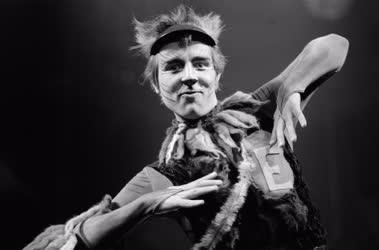 Kultúra - Színház - A. Lloyd Webber: Macskák