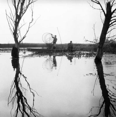 Halászat - Varsás halászat a Tisza-tavon