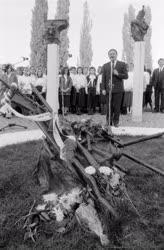 Évforduló - Koszorúzás a gyulai honvédtiszti emlékműnél