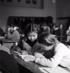 Oktatás - Koreai tanulók a Lorántffy Zsuzsanna Általános Iskolában