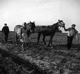 Mezőgazdaság - Tavaszi mezőgazdasági munka