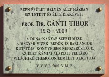 Vác - Emléktábla - Dr. Gánti Tibor emléktábla