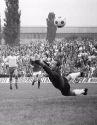 Sport - Labdarúgás - Újpest-Honvéd