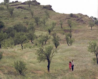 Tájkép - Tihany