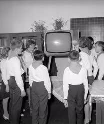 Oktatás - Átadták az ezredik tv-készüléket a tanyai iskolának